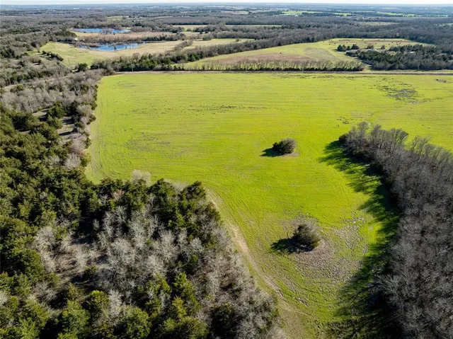 a view of an ocean and beach