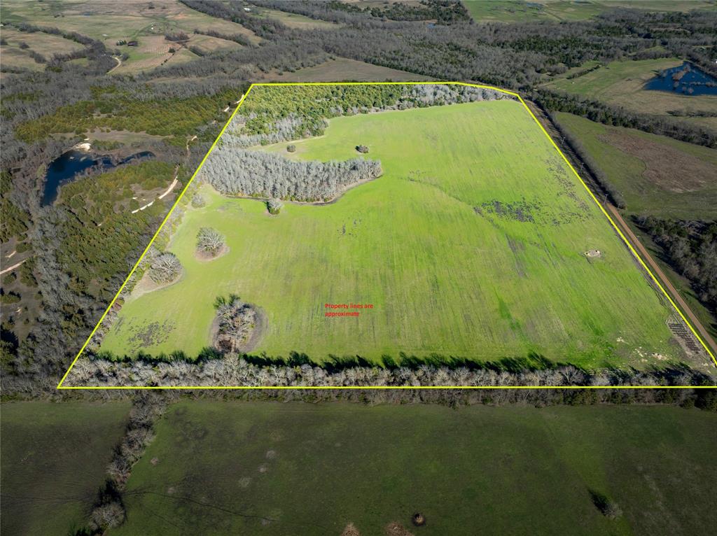 1500 County Road 24800 Brookston, TX 75421 - Photo 4 of 23 a view of a water pond