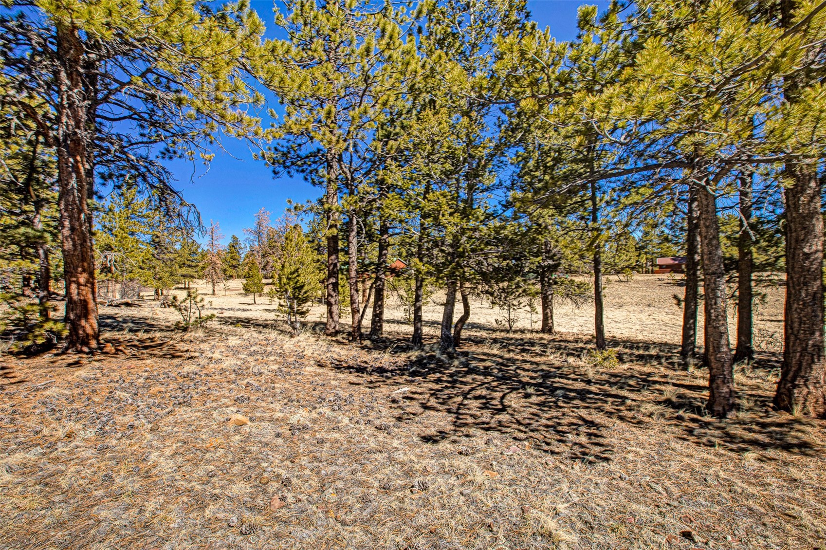 2226 Pitchfork Road Hartsel, CO 80449 - Photo 2 of 27 Gallery Image 2