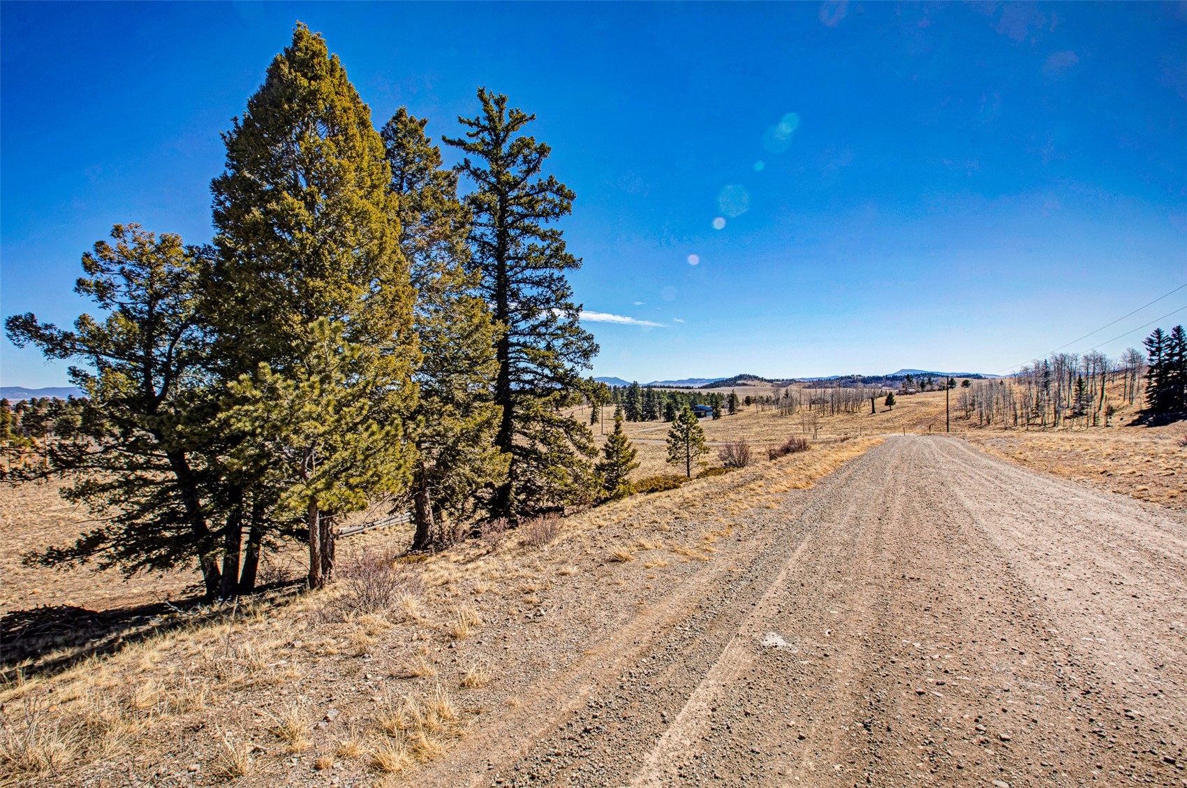 2226 Pitchfork Road Hartsel, CO 80449 - Photo 3 of 27 Gallery Image 3