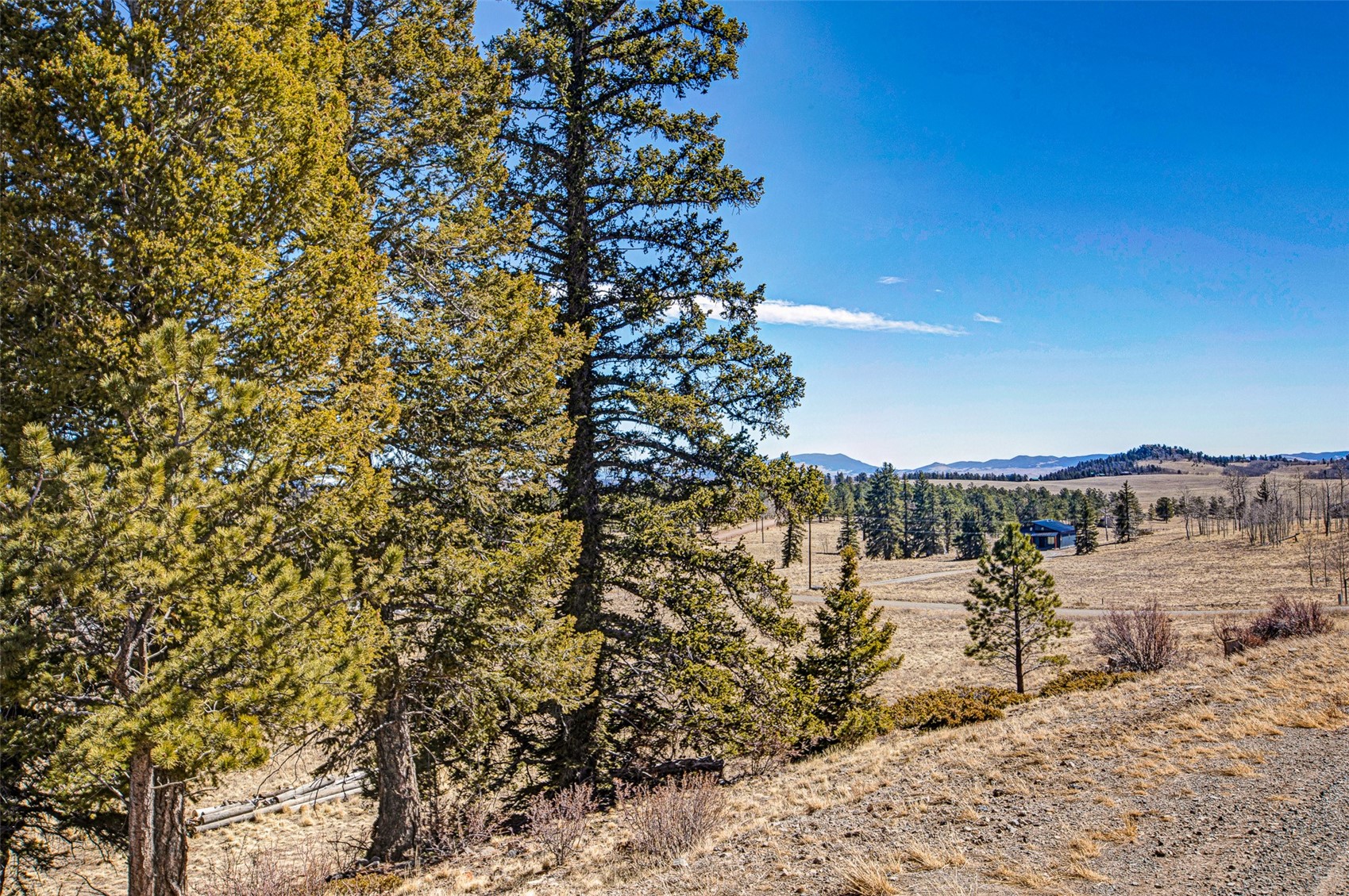2226 Pitchfork Road Hartsel, CO 80449 - Photo 7 of 27 Gallery Image 7