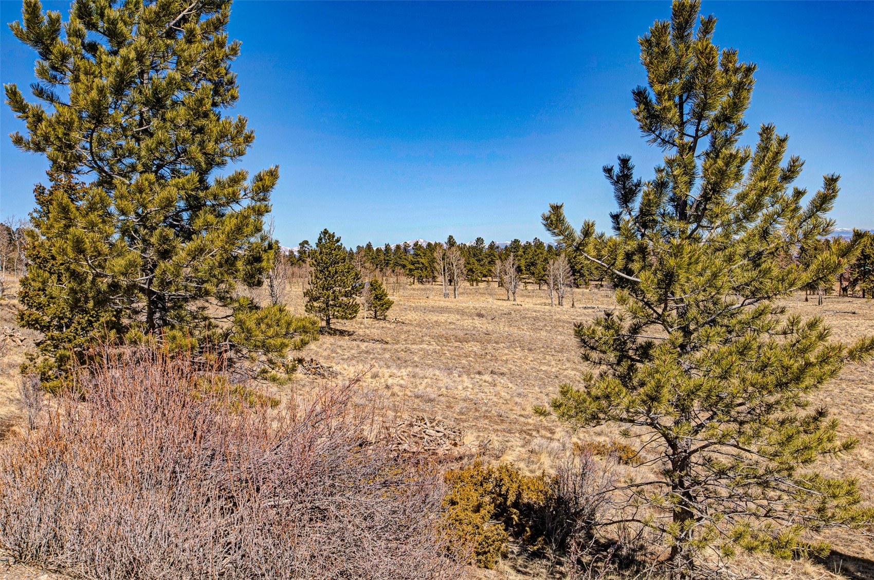 2226 Pitchfork Road Hartsel, CO 80449 - Photo 8 of 27 Gallery Image 8