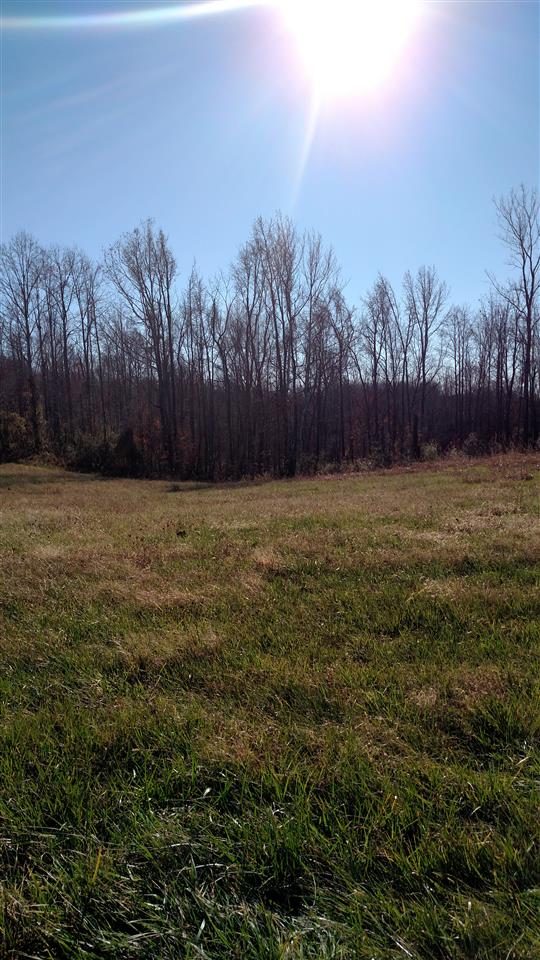 0 Spring Hill Road Shoals, IN 47581 - Photo 2 of 2