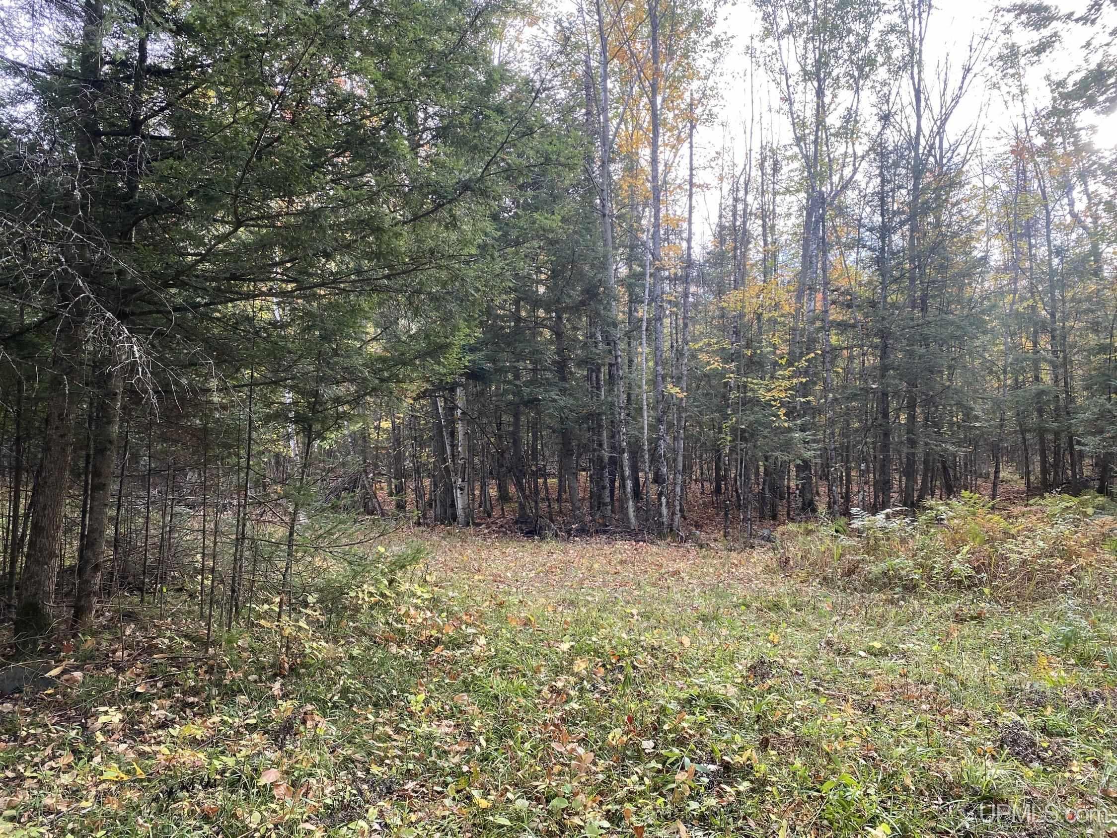 2926 Miller Road Homestead, WI 54121 - Photo 21 of 24