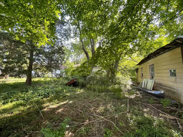 a view of a backyard