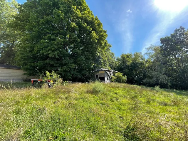a backyard of a house with a yard and plants