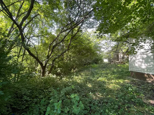 a view of a yard with a tree
