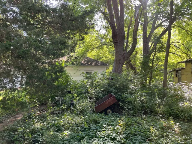 a view of a bench in a garden