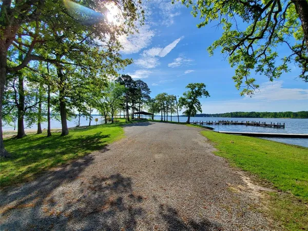 a view of a garden with a tree