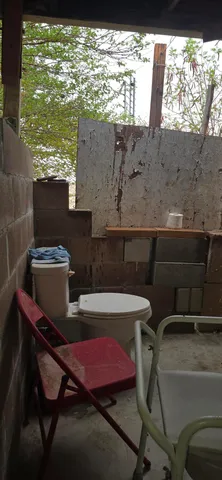 a view of dirt yard with a large tree