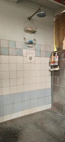 a view of a dry yard