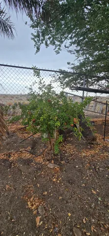 $235,000 | 1393 Pine Place, Thermal, CA 92274