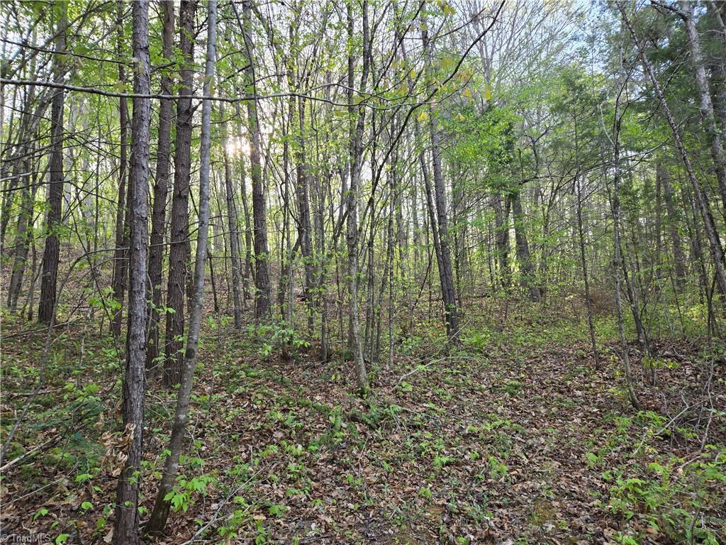 0 Hoover Hill Road Asheboro, NC 27205 - Photo 10 of 29