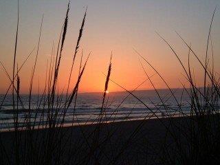 101 Shell Road, Unit 84 Watsonville, CA 95076 - Photo 17 of 40 a view of bridge and trees
