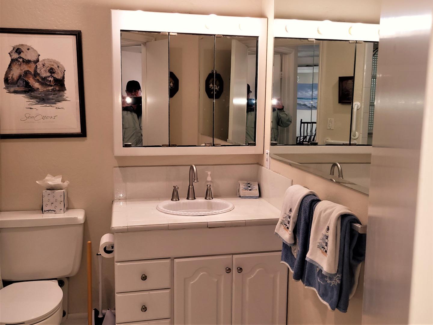 101 Shell Road, Unit 84 Watsonville, CA 95076 - Photo 36 of 40 a bathroom with a sink and a mirror