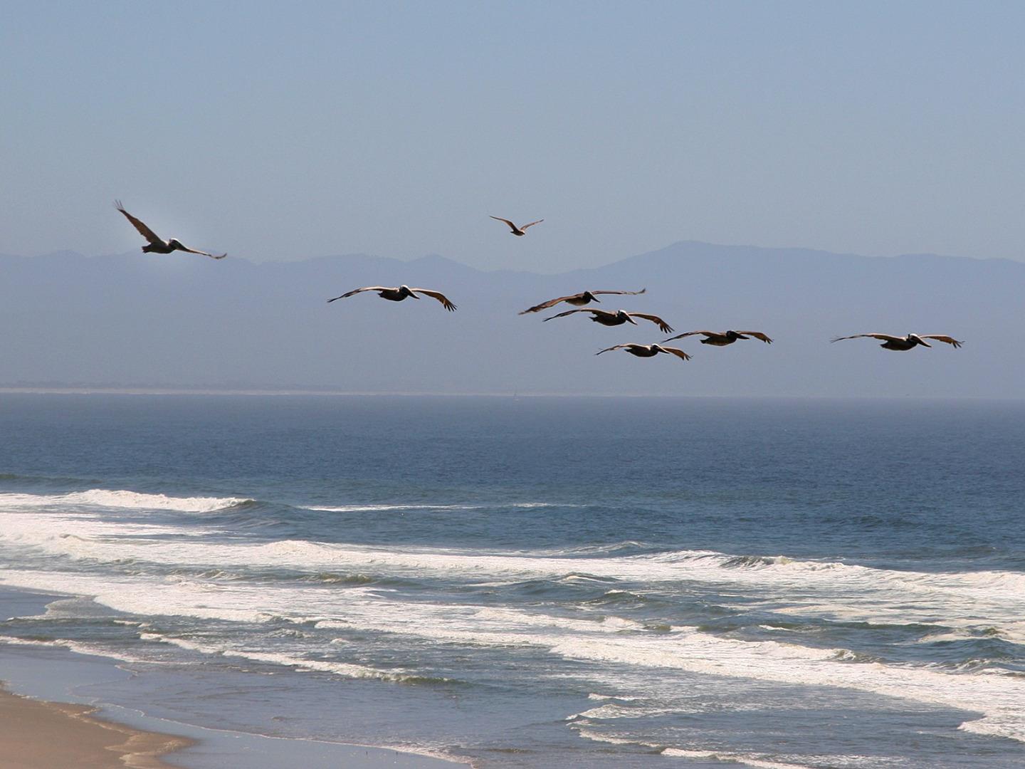101 Shell Road, Unit 84 Watsonville, CA 95076 - Photo 9 of 40 a bathroom with a shower