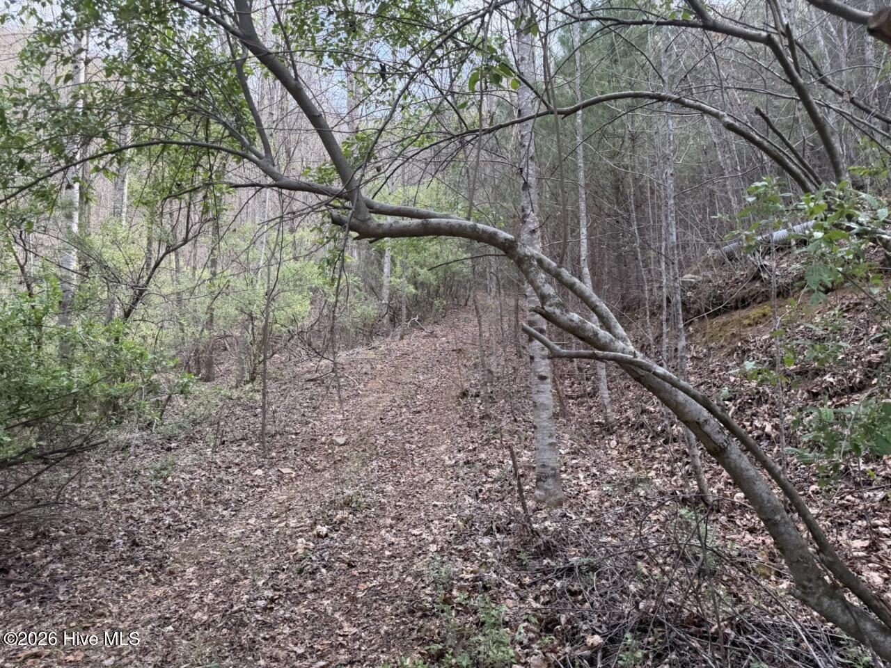 0 Ogreeta Road Murphy, NC 28906 - Photo 11 of 47