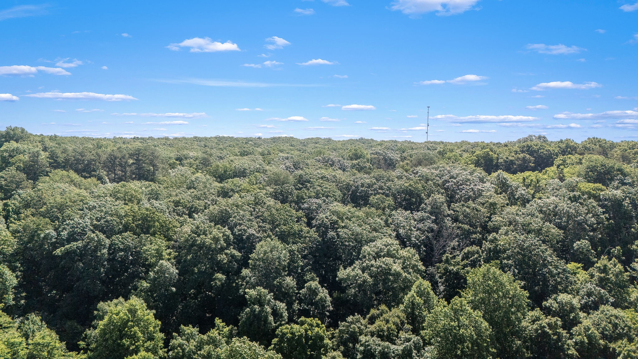 0 Claiborne View Road Sewanee, TN 37375 - Photo 16 of 23