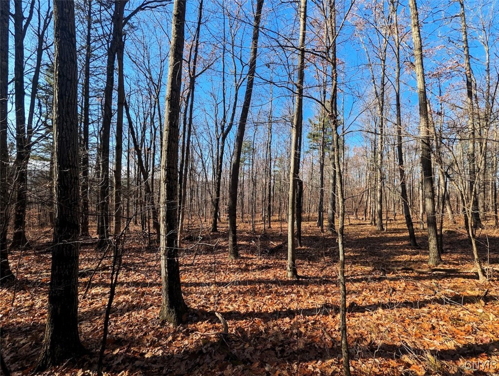 2 Rod Road Bath, NY 14810 - Photo 11 of 32