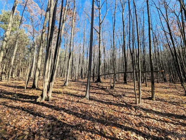 $44,900 | 2 Rod Road, Bath, NY 14810