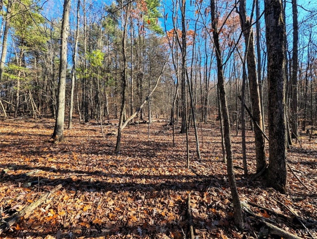 2 Rod Road Bath, NY 14810 - Photo 13 of 22