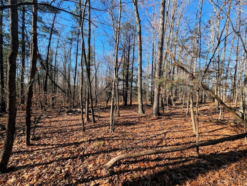 2 Rod Road Bath, NY 14810 - Photo 14 of 22