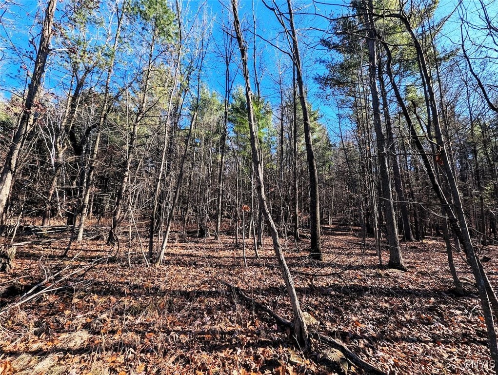 2 Rod Road Bath, NY 14810 - Photo 16 of 32