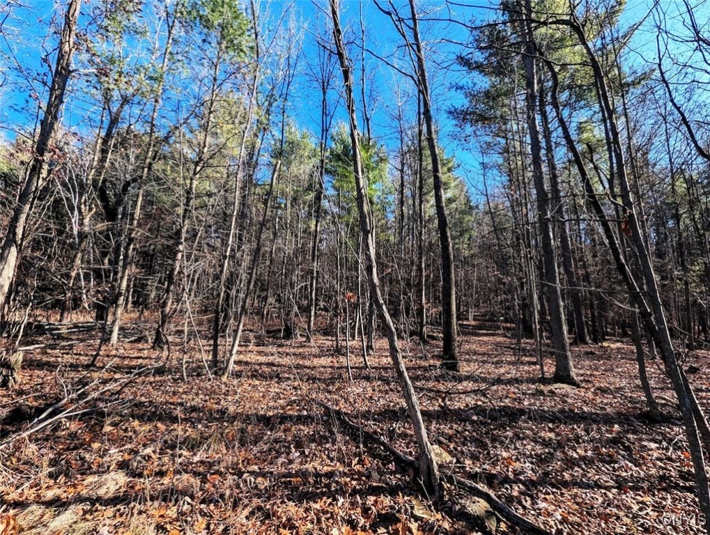 2 Rod Road Bath, NY 14810 - Photo 16 of 22