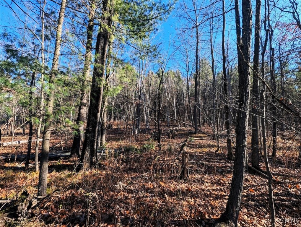 2 Rod Road Bath, NY 14810 - Photo 18 of 22