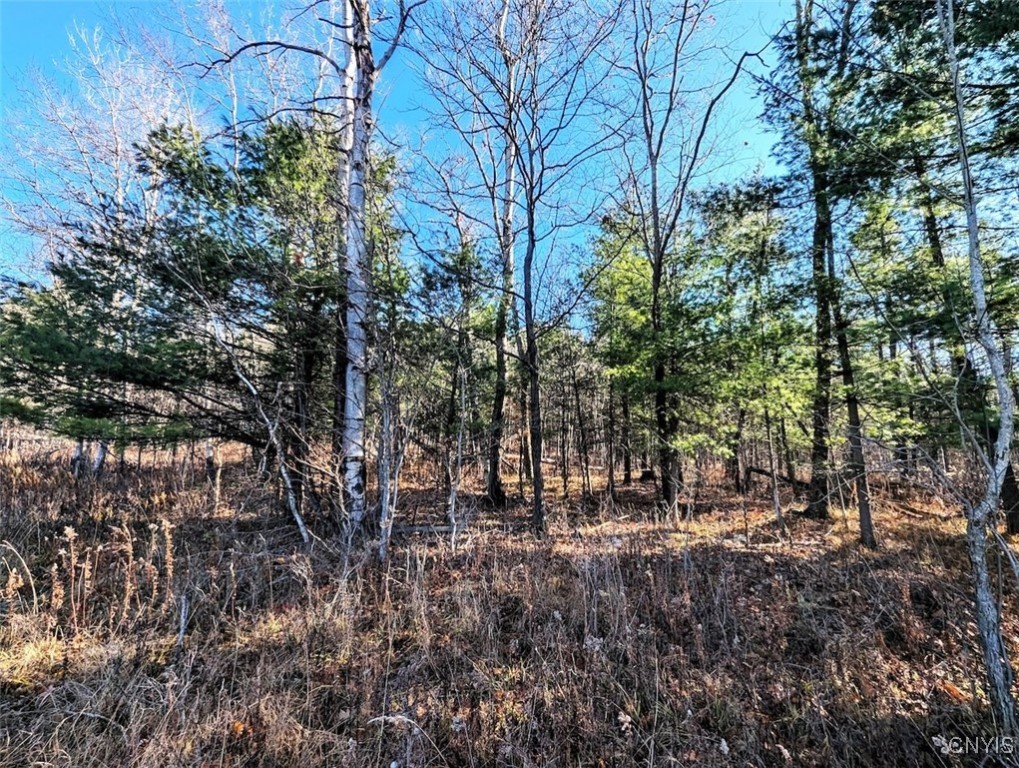 2 Rod Road Bath, NY 14810 - Photo 19 of 22