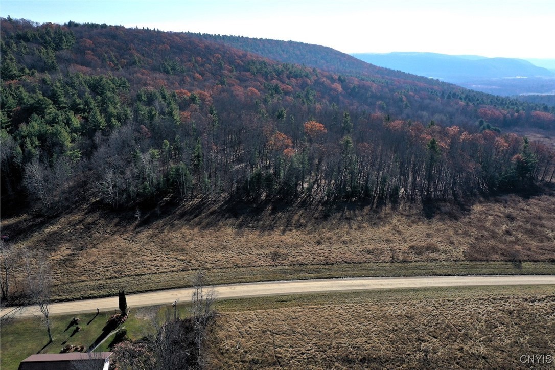 2 Rod Road Bath, NY 14810 - Photo 20 of 22