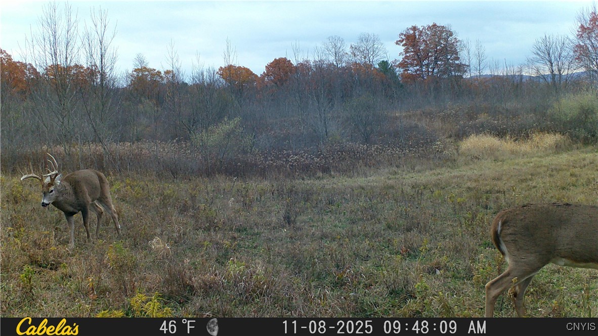 2 Rod Road Bath, NY 14810 - Photo 23 of 32