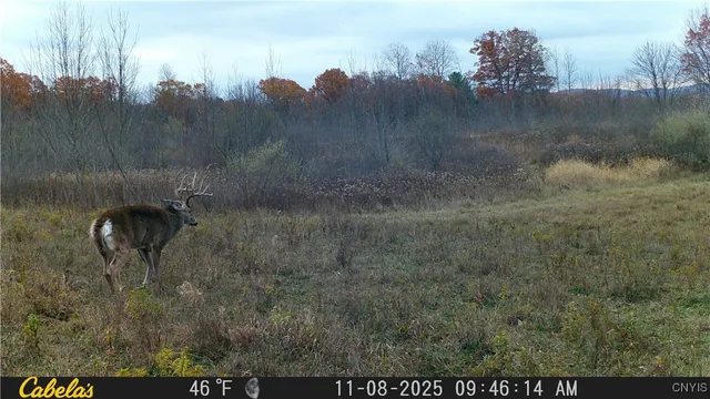 $44,900 | 2 Rod Road, Bath, NY 14810