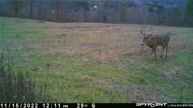 $44,900 | 2 Rod Road, Bath, NY 14810