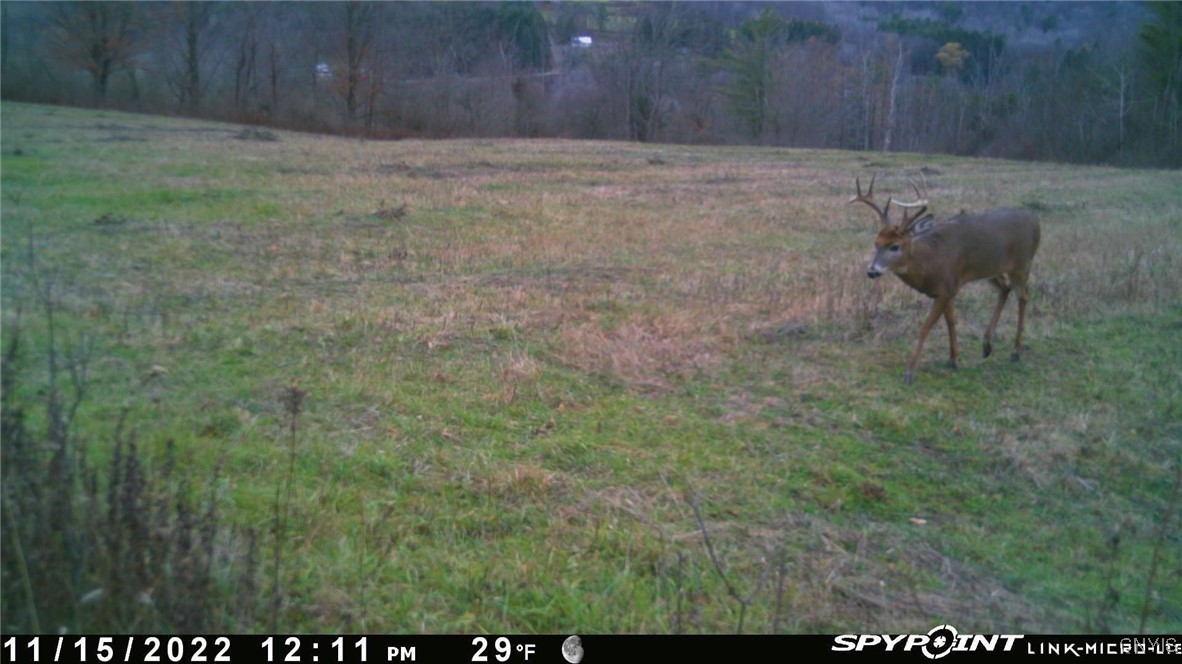 2 Rod Road Bath, NY 14810 - Photo 25 of 32