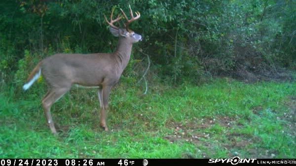 2 Rod Road Bath, NY 14810 - Photo 26 of 32