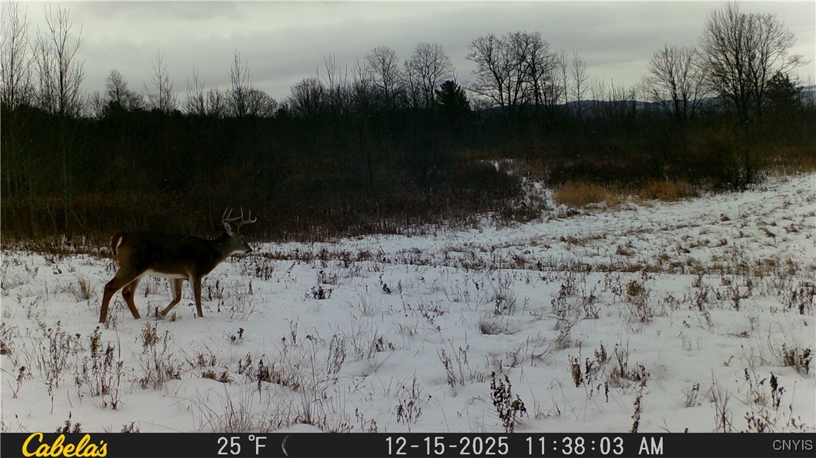 2 Rod Road Bath, NY 14810 - Photo 27 of 32