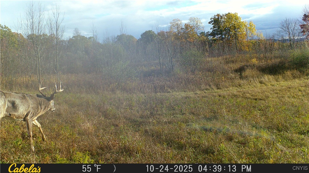 2 Rod Road Bath, NY 14810 - Photo 29 of 32