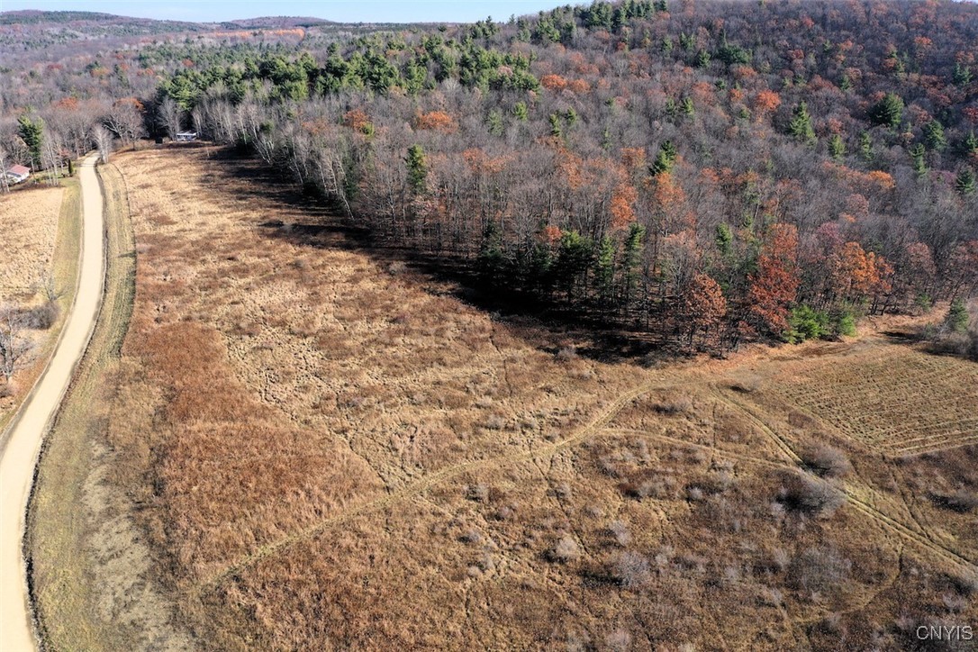 2 Rod Road Bath, NY 14810 - Photo 4 of 22