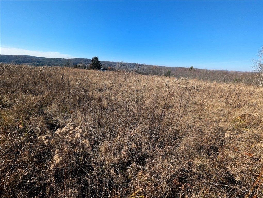 2 Rod Road Bath, NY 14810 - Photo 7 of 22