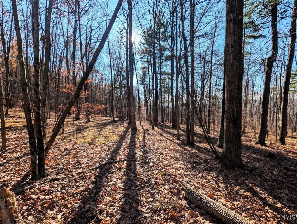 2 Rod Road Bath, NY 14810 - Photo 9 of 22