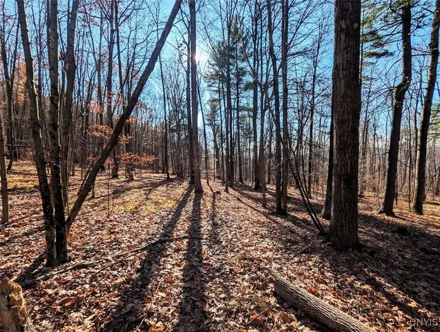 $39,900 | 2 Rod Road, Bath, NY 14810