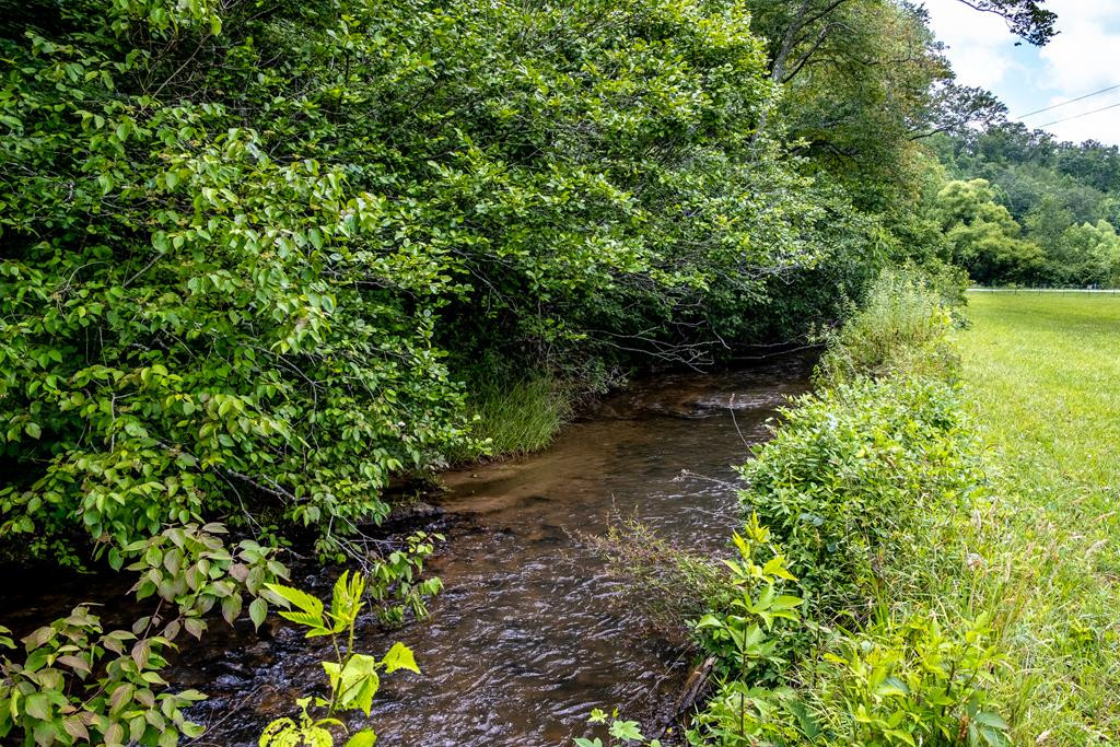 3935 Wehutty Road Murphy, NC 28906 - Photo 69 of 74