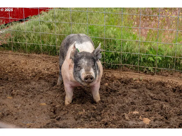 $534,000 | 82678 Shotgun Pass Lane, Christmas Valley, OR 97641