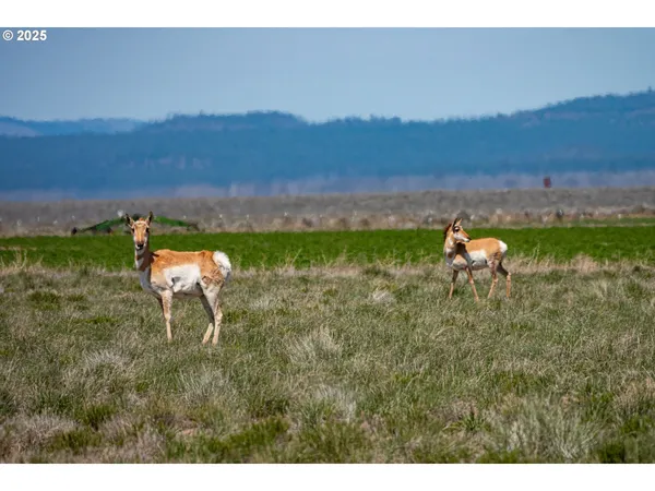 $534,000 | 82678 Shotgun Pass Lane, Christmas Valley, OR 97641