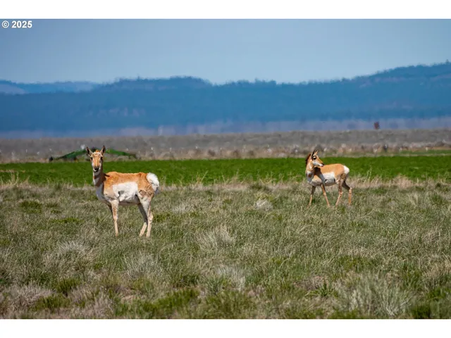 $534,000 | 82678 Shotgun Pass Lane, Silver Lake, OR 97638