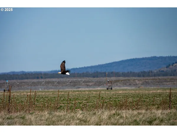 $534,000 | 82678 Shotgun Pass Lane, Christmas Valley, OR 97641