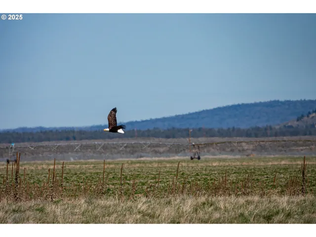 $534,000 | 82678 Shotgun Pass Lane, Silver Lake, OR 97638