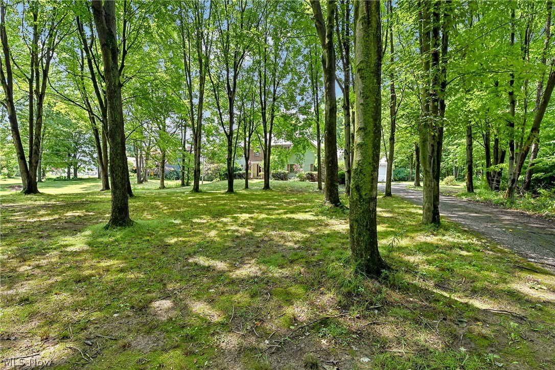 2660 South Medina Line Road Wadsworth, OH 44281 - Photo 4 of 48 Expansive tree-lined property featuring a gravel driveway and a partial view of the residence