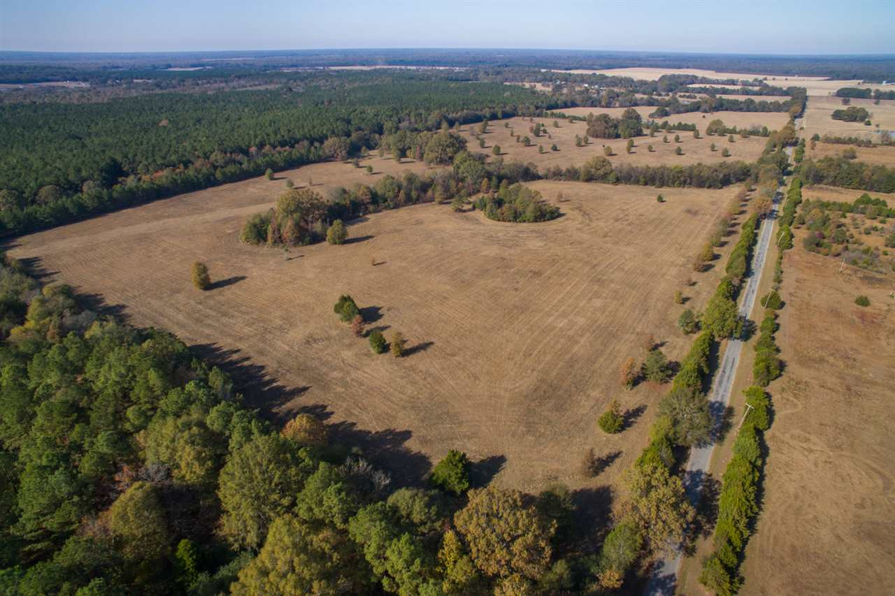 0 Parkinson Road Flora, MS 39071 - Photo 2 of 4 Photo 2